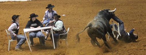 BULL POKER 1